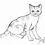 Gambar Sketsa Kucing Yang Gampang